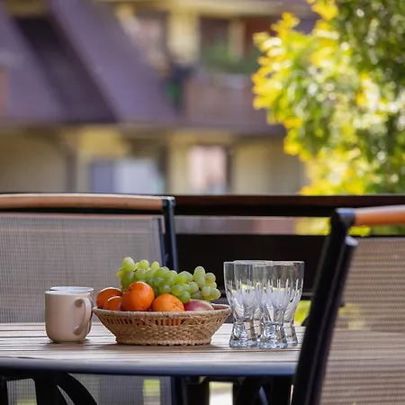 Z Widokiem Na Gory Balkon I Parking By Renters Apartment